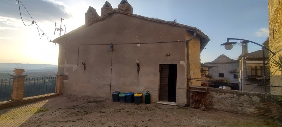 Immobile Procedura 117 2024