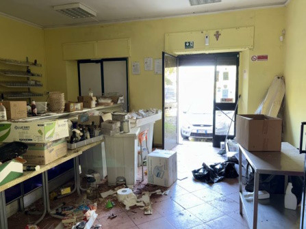 Legalemte.net Legalemte.net