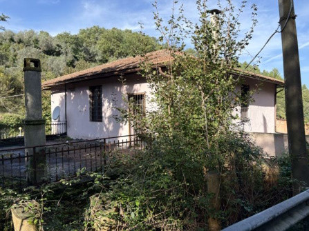 Legalemte.net Legalemte.net