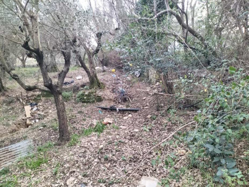 Legalemte.net Legalemte.net