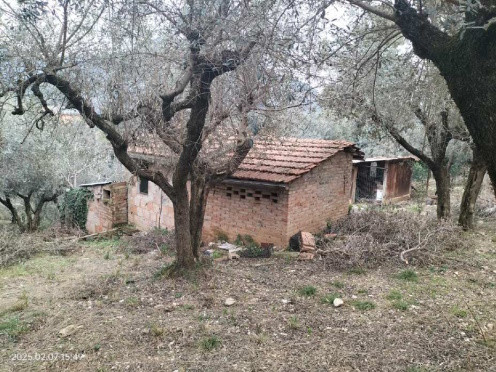 Legalemte.net Legalemte.net