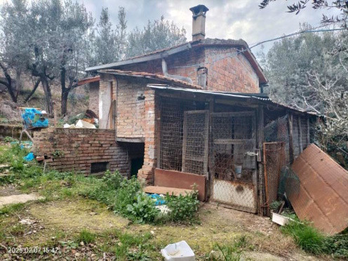 Immobile Procedura 69 2024