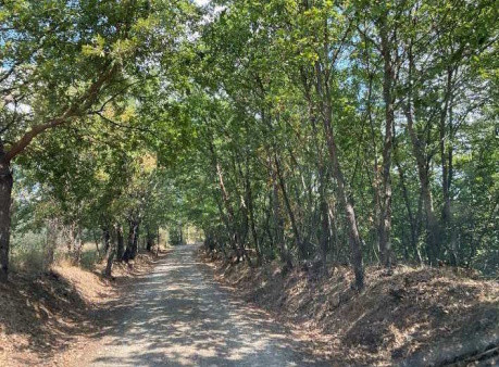 Legalemte.net Legalemte.net