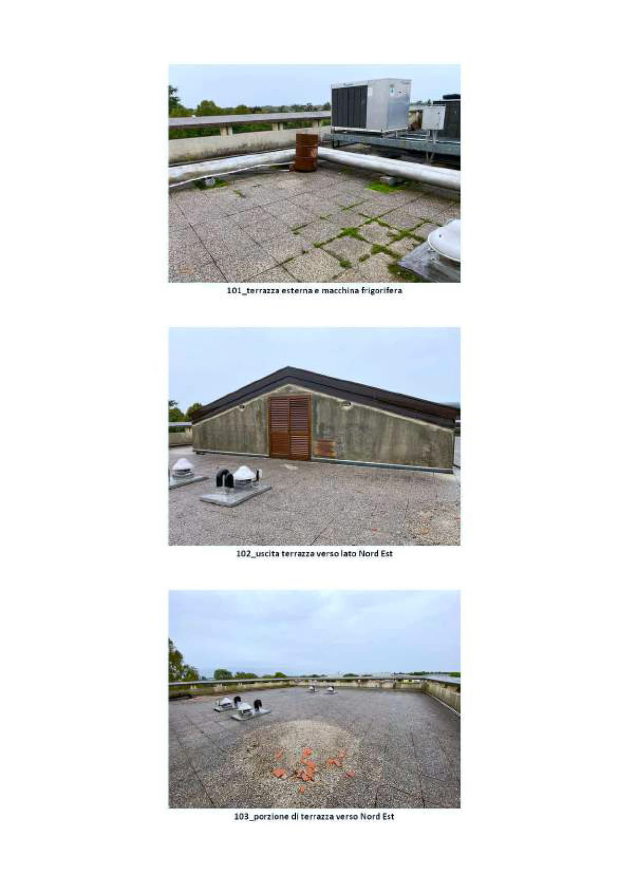 albergo Procedura 73 2023