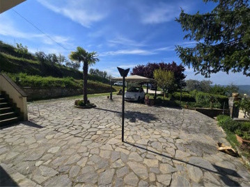 Immobile Procedura 63 2024