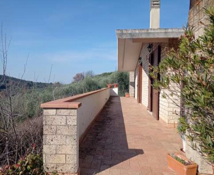 Abitazione di tipo economico immobile residenziale