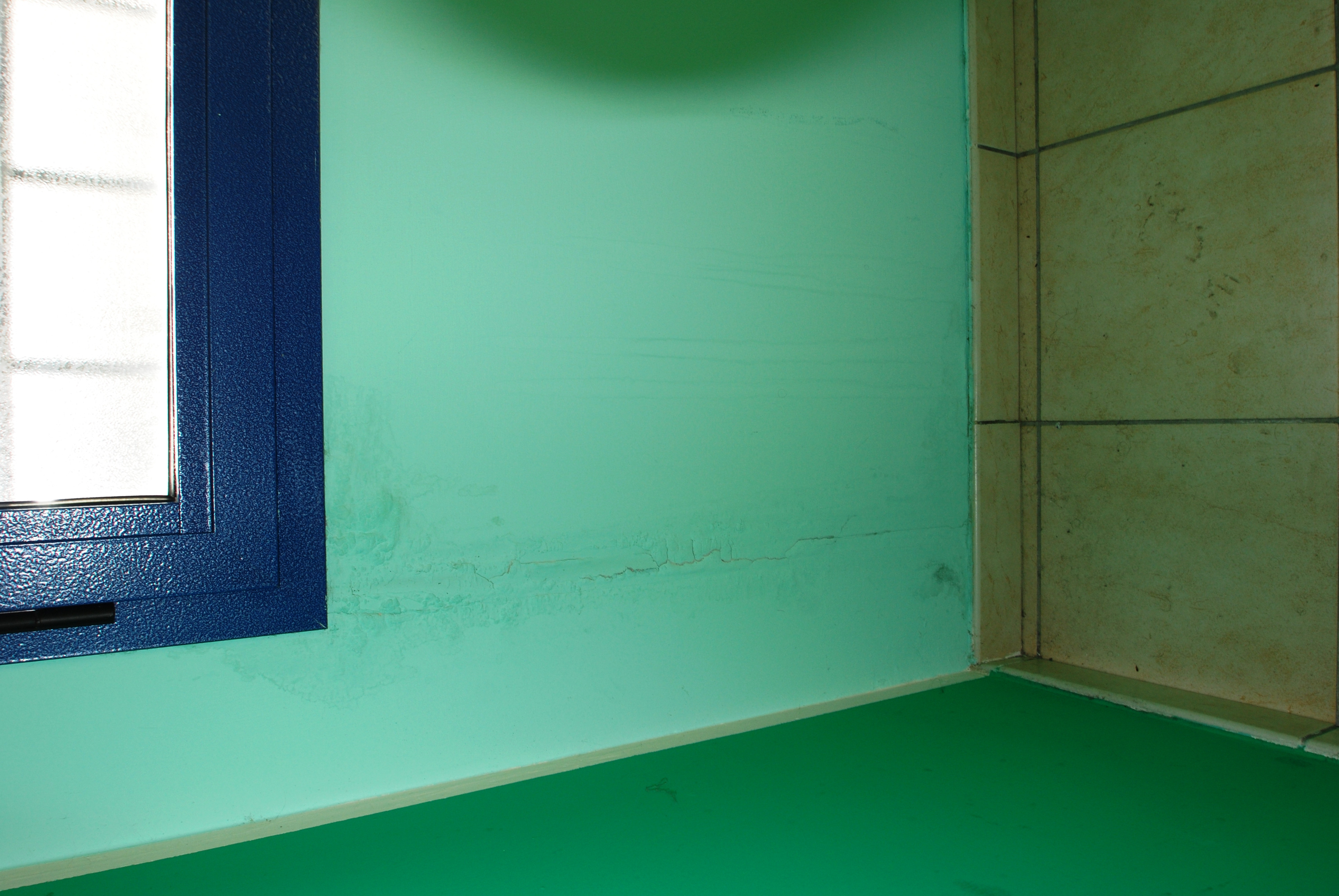 studio Procedura 227 2015