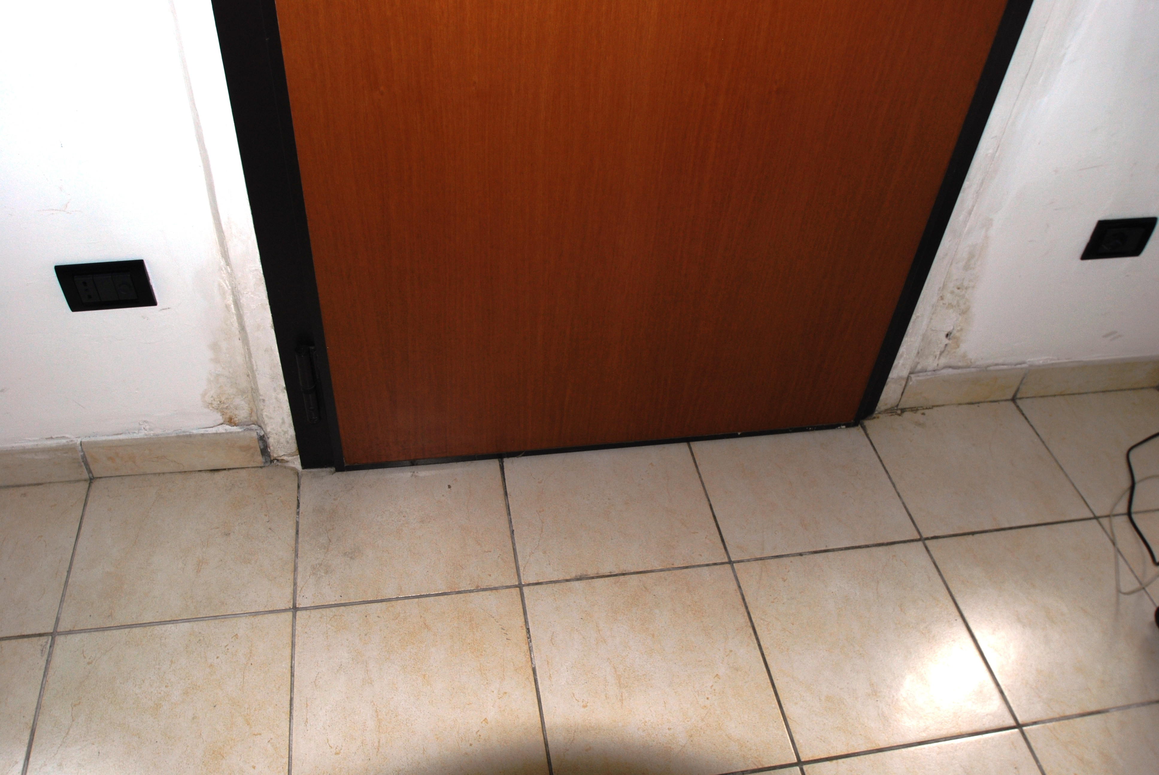 studio Procedura 227 2015