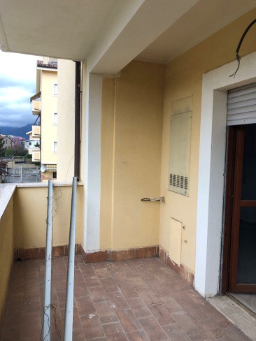 Legalemte.net Legalemte.net