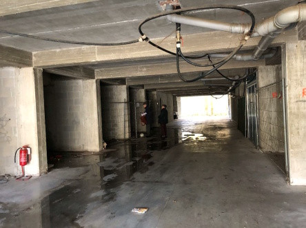 Legalemte.net Legalemte.net