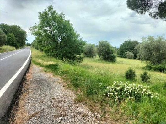 Legalemte.net Legalemte.net