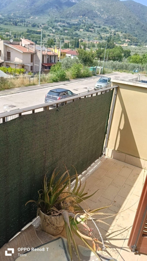 Legalemte.net Legalemte.net