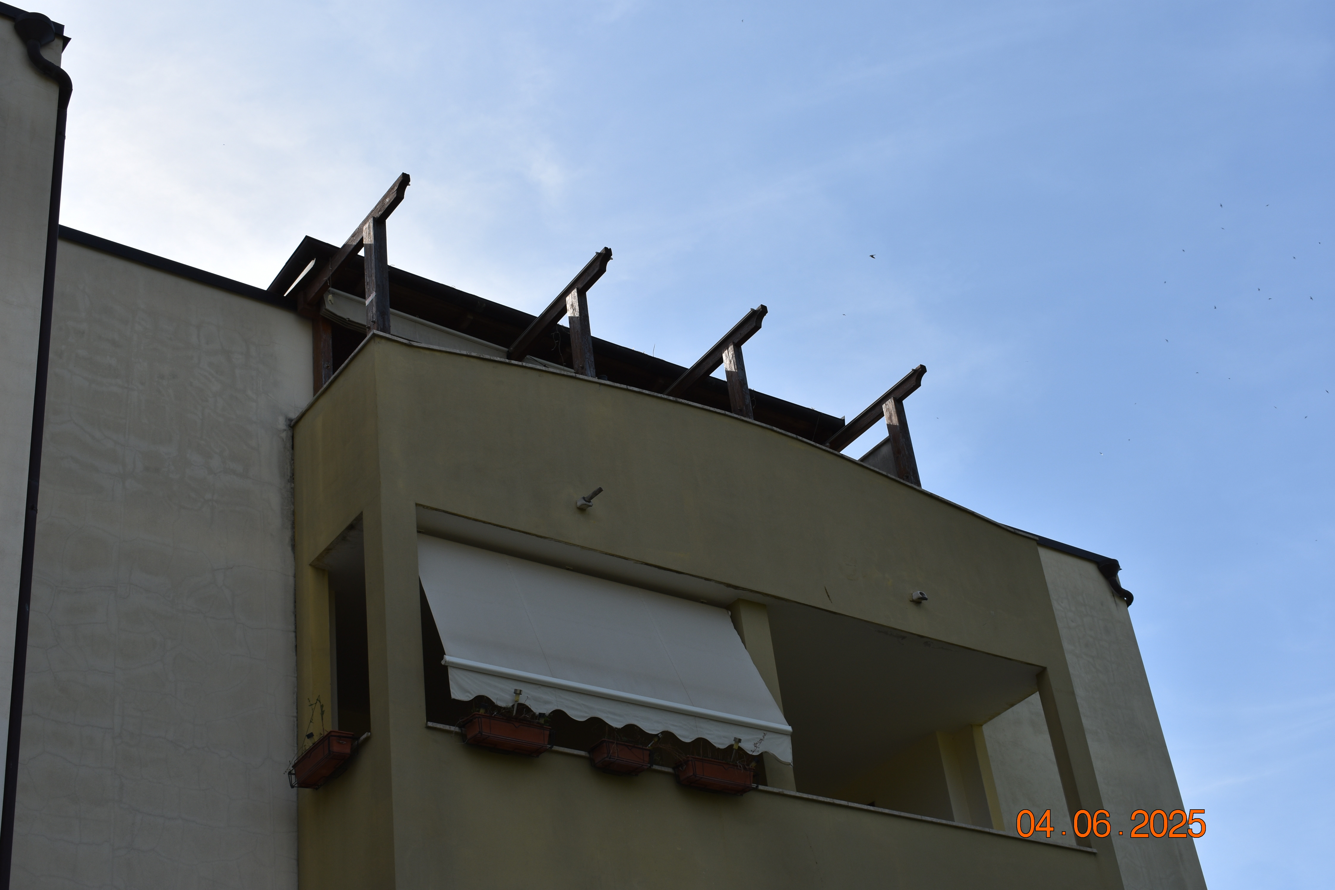 Legalemte.net Legalemte.net