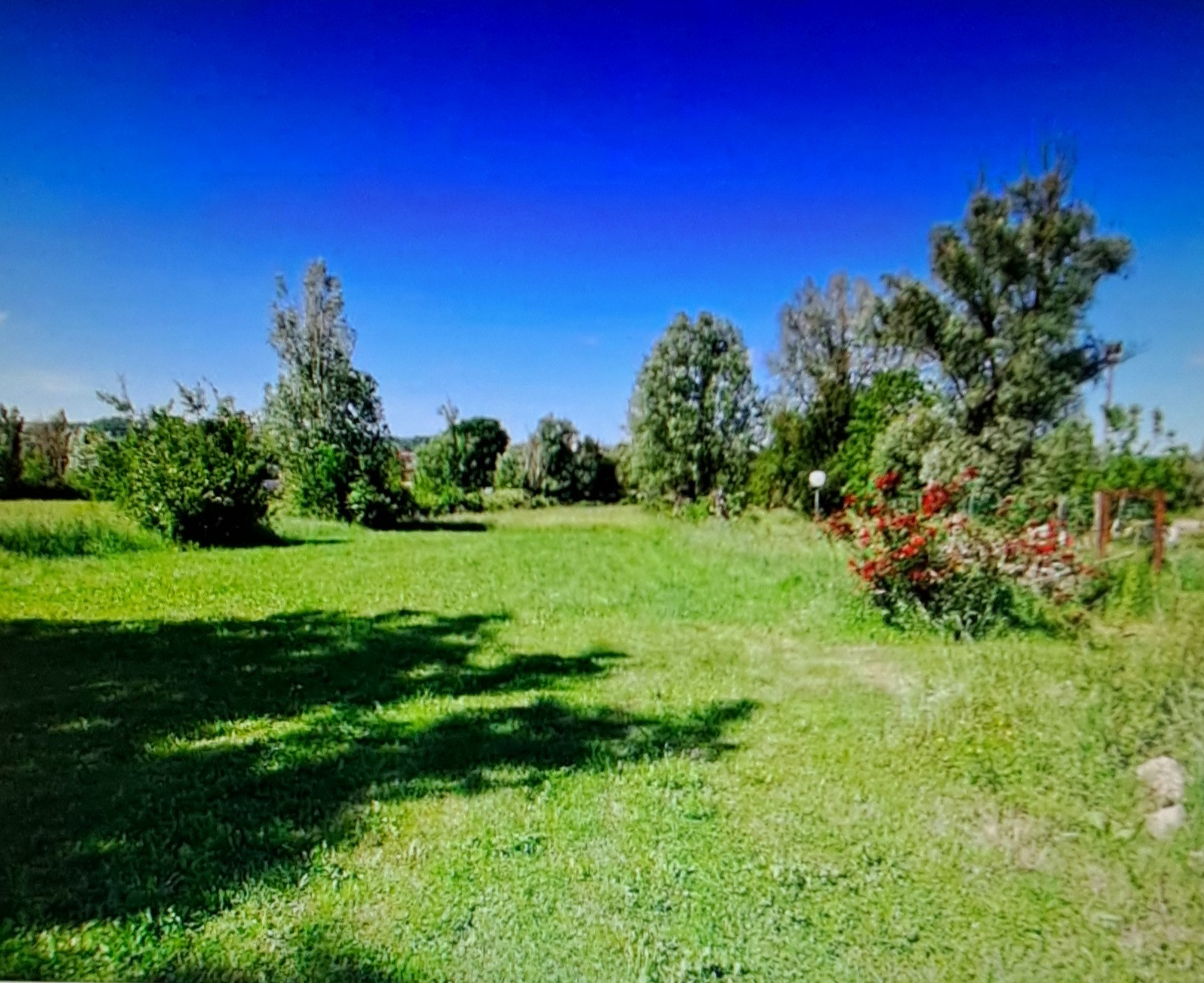 Legalemte.net Legalemte.net