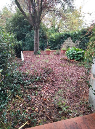 Legalemte.net Legalemte.net