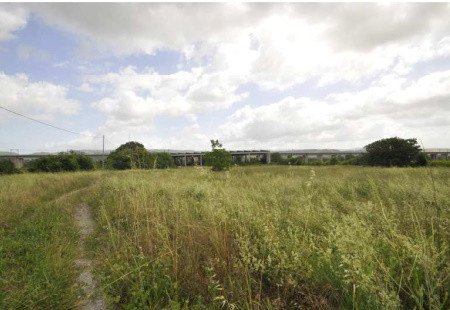 Immobile Procedura 119 2023