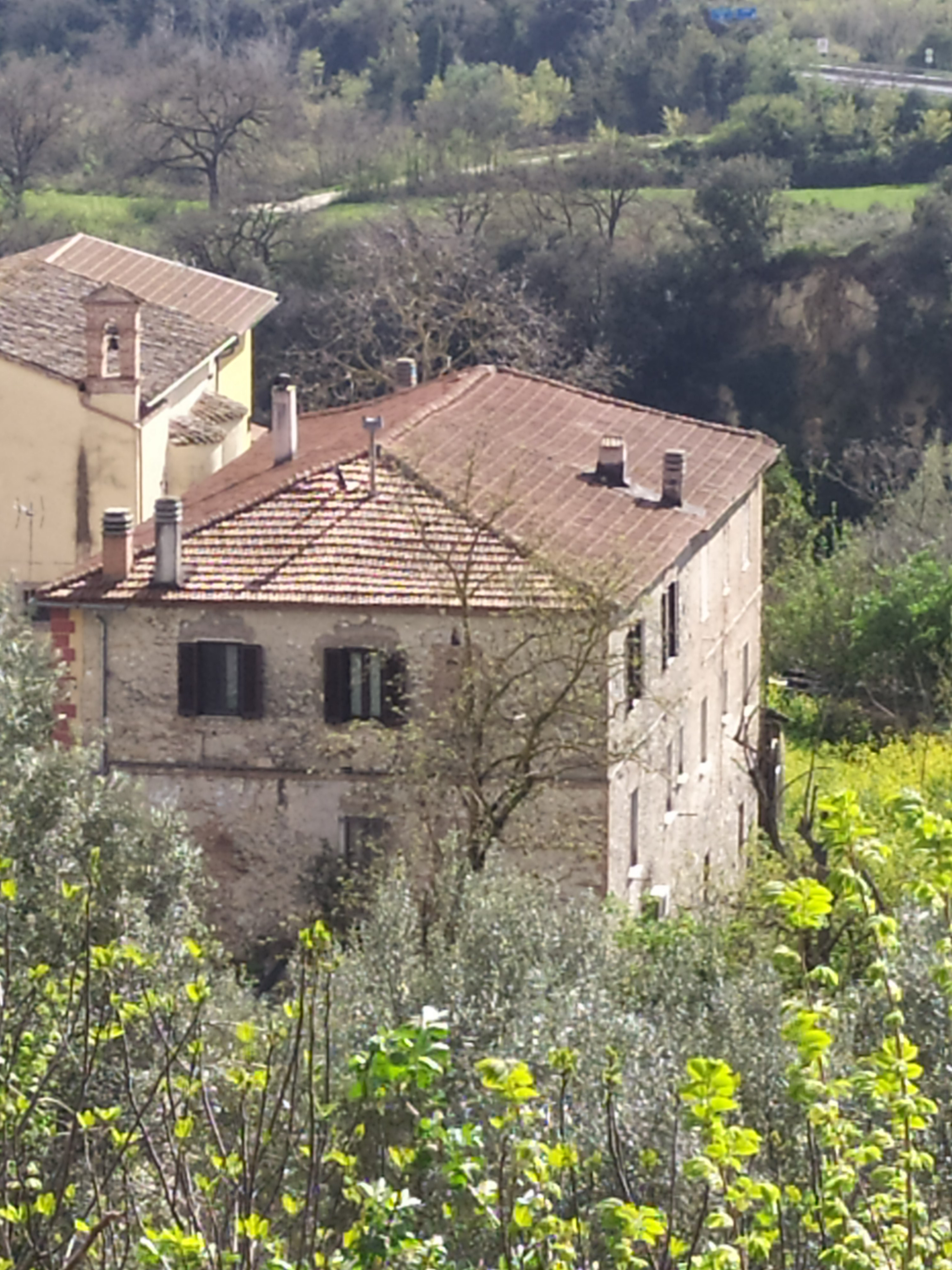 abitazione economica Procedura 96 2024