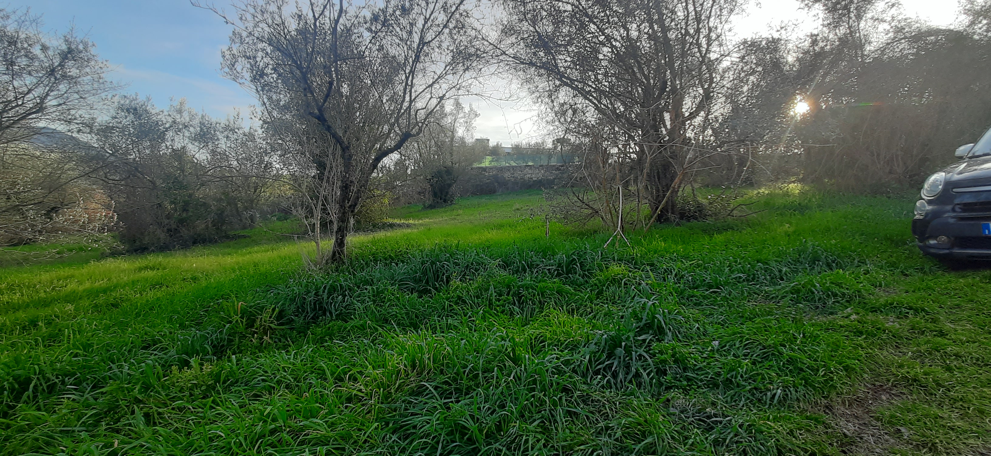 Lotto edificabile altra categoria