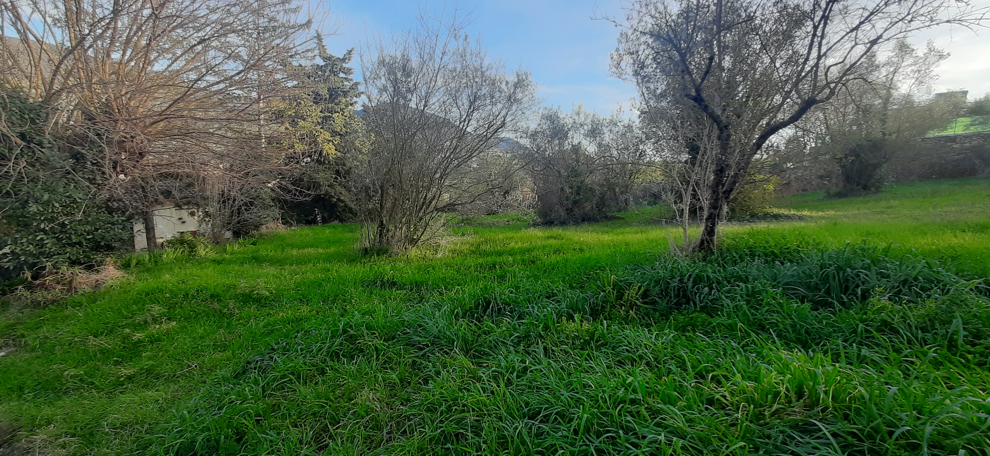 Lotto edificabile altra categoria