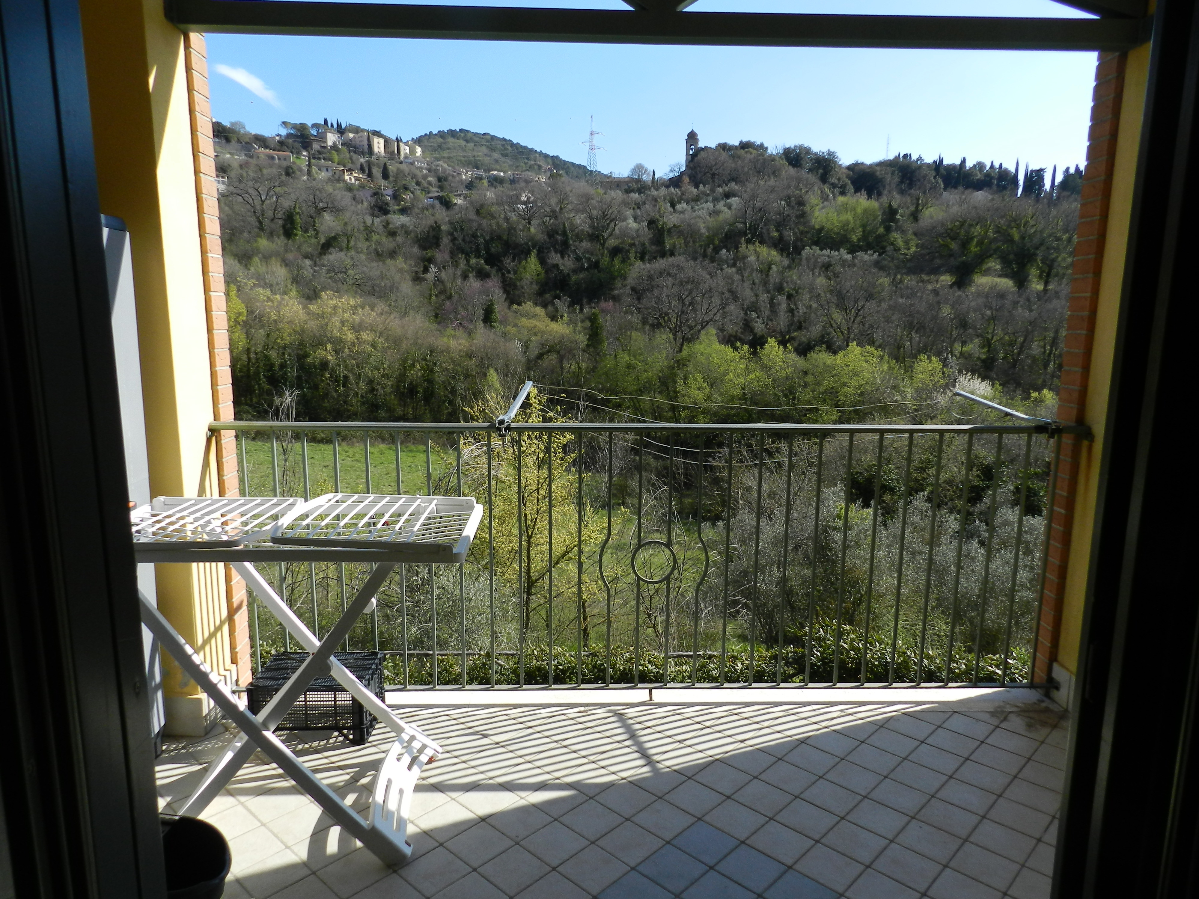 Legalemte.net Legalemte.net