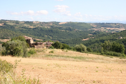 Legalemte.net Legalemte.net