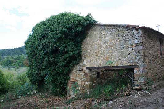 Legalemte.net Legalemte.net