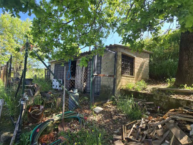 Legalemte.net Legalemte.net