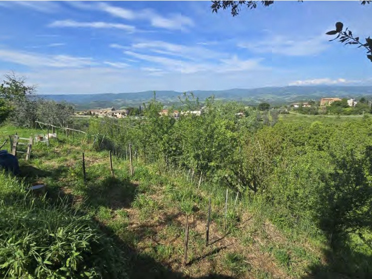 Legalemte.net Legalemte.net