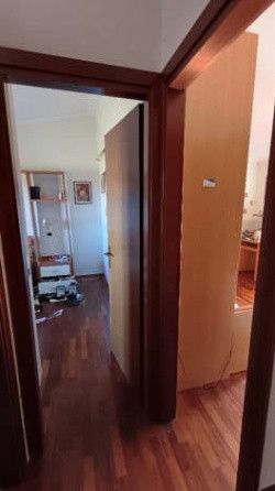 Legalemte.net Legalemte.net