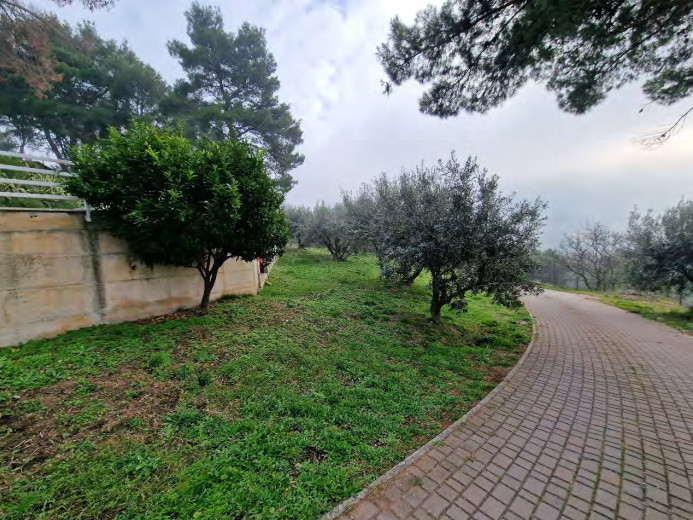 abitazione in villino Procedura 92 2022