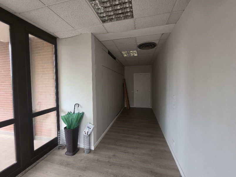 studio Procedura 111 2025