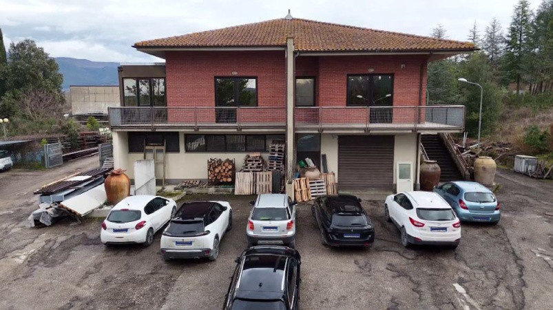 studio Procedura 111 2025